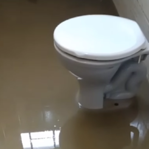 Moradora Denúncia Esgoto Voltando Pelo Vaso